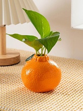 ?�����մ�С��ƿ�[���͏d�廨ˮ��ֲ���r���G�}��w���������b�