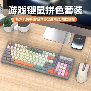 ����KM800 �о��I�P������b�Pӛ����X�����k���Α�l��Cе�ָ�