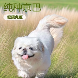 ���N������Ȯ���wС��Ȯ���͹�����Ȯ�{�ӹ�����Ȯ��ɫ���͌��ﹷ