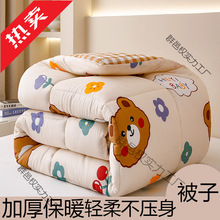 加厚保暖棉被太空被冬被芯单人学生宿舍丝绵被冬季被子四季通用
