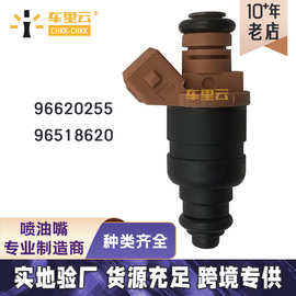 适用于雪佛兰 大宇 斯帕克 乐驰 喷油嘴 96620255 96518620