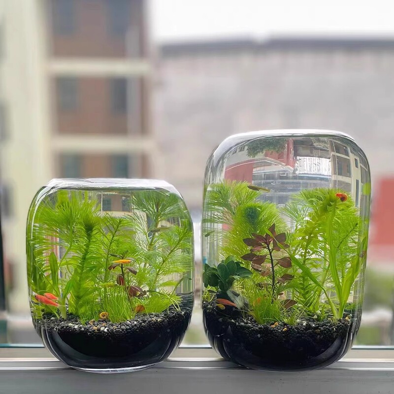 Ecological Bottle Micro-Landscape Fish Small Fish Tank Desktop Landscaping Fish and Shrimp DIY Creative Gift Ecological Fish Tank