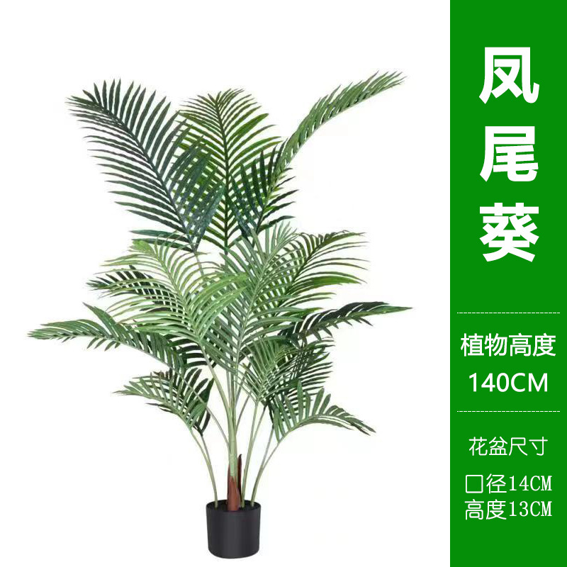 北欧シミュレーション散尾葵盆栽偽植物室内貴妃緑植盆栽鳳尾客間装飾着地置物|undefined