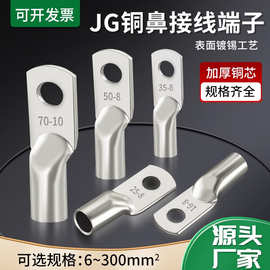 国标加厚JG铜鼻子10平方/16/25/35/50-8-10-12船用铜线耳接头