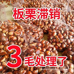 2025新鮮な丹東栗5斤の新鮮な栗の生の柔らかい栗の粟の栗の野生は西の栗の油の錐の栗に移ります。