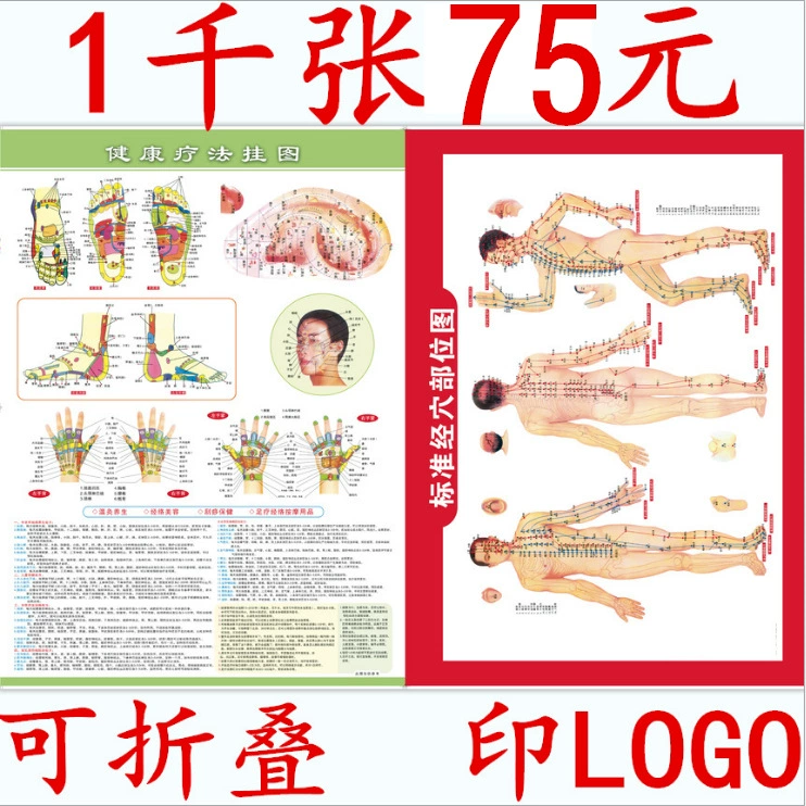 Карта акупунктурных точек массажа человеческого тела Настенная диаграмма терапии здоровья Стандартная карта акупунктурных точек меридиана Карта меридиана человеческого тела Карта рук Карта ног