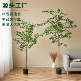 新款仿真榕树幸福树仿真植物盆栽大型室内外高端仿生假绿植装饰