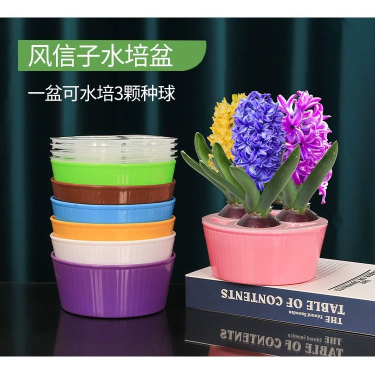 Гидропонный цветочный горшок для растений Гиацинт гидропонный горшок Тюльпан гидропонный горшок Нарцисс гидропонный горшок