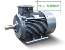 늙CYE3-100L2-4-3KW