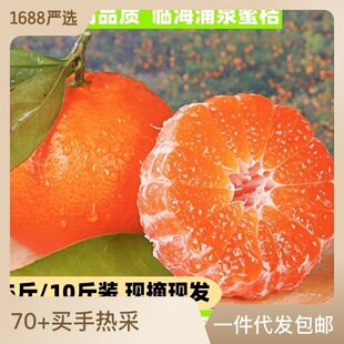 Linhai Yongquan Honey Orange Fresh Orange Fresh Orange Orange Thin Thin Skin из сезонных фруктов медовый оранжевый Zhejiang Orange Age