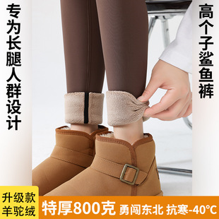 Northeast winter shark pants fleece-lined super thick 800g winter wear tall minus 40 cold warm pants super long