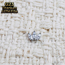 ASTMF-136⁺Ͻ����R���ʯ��ᔃ��ݼy�M荴�ᔴ��״����Ʒ