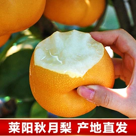 非处方滋补膏;果蔬汁;硬糖
