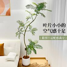 新年装饰蓝花楹大型绿植仿生卧室客厅摆件室内装绿植