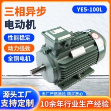 江苏大中电机YE5-100L三相电动异步机高效节能4极电机