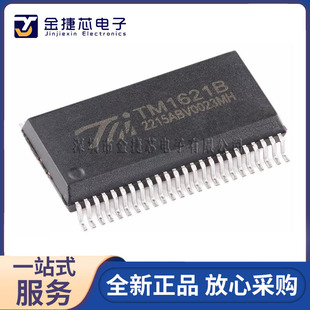 ԭ�bTM1621B(TA1901-A)�°汾 SSOP-48�ȴ�ӳ��Ͷ๦��LCD����