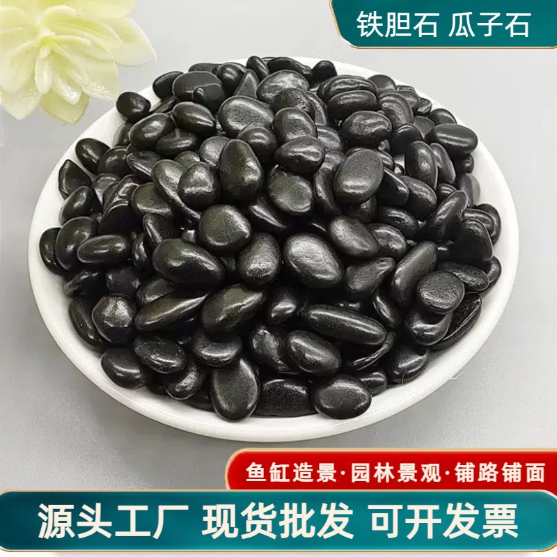 黑色铁胆石黑工沙多肉铺面瓜子石鱼缸造景水培底沙黑色鹅卵石批发