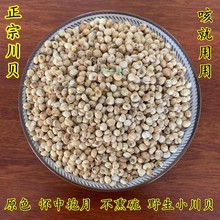 优品野生川贝川贝母四川川贝怀中抱月材干货500克