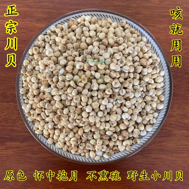 优品野生川贝川贝母四川川贝怀中抱月材干货500克