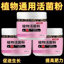 植物活菌粉兰花微生物菌剂养根壮根防烂根水溶肥养建兰蕙兰花肥料
