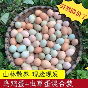 �r��ɢ�B���u�����r�G�����u������b��ͯ�I�B���������l