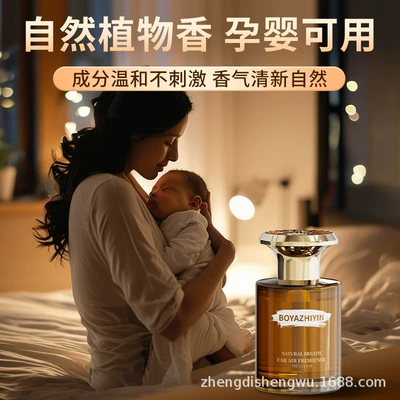 Car Long-Lasting Fragrance Liquid | Car Perfume Aromatherapy