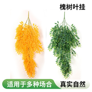 �S�����l�����ٗl24�滱���~�ڒ���~���bGֲ��c������������