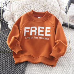 Carefully selected Korean-style boys' long-sleeve sweatshirt—spring children's letter-print crewneck casual long-sleeve top, kids' clothing—wholesale