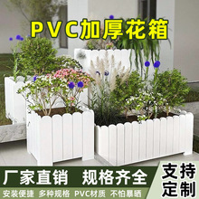 ����PVC�Nֲ���� ����ֲ�ﻨ�� �̨ͥԺ���� ���s�L�Gֲ����