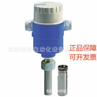 E+H Magphant电磁流量计 DTI200-A12A1A