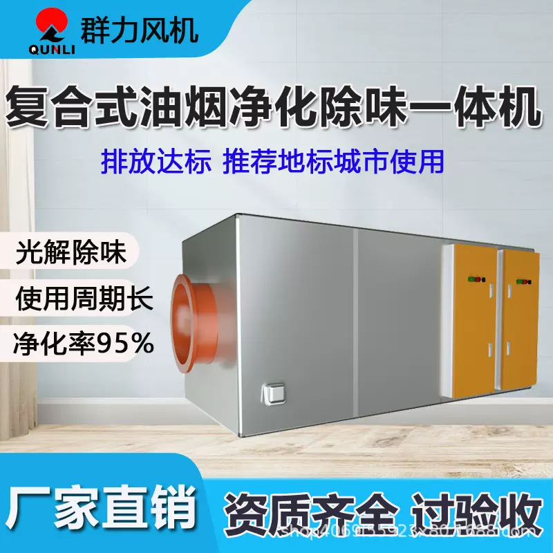 油烟净化除味一体机商用餐饮酒店厨房排烟油烟机油烟净化器 厂家