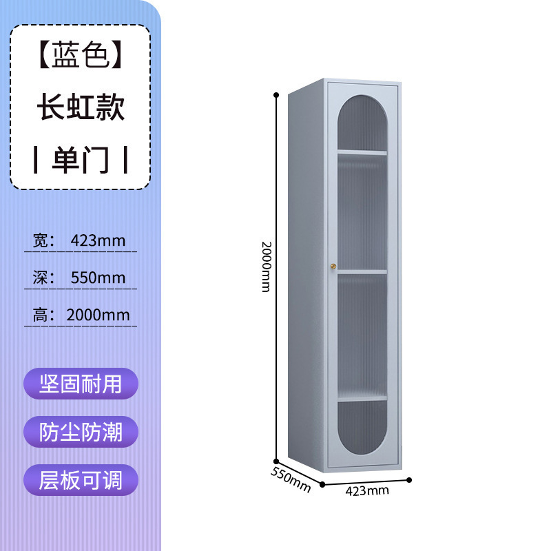衣柜钢制出租房用彩色衣橱卧室客厅家用铁艺无甲醛简易储物铁皮柜|undefined