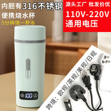 工厂跨境电热水杯 外贸小型便携旅行加热水杯110V-220V便携烧水壶