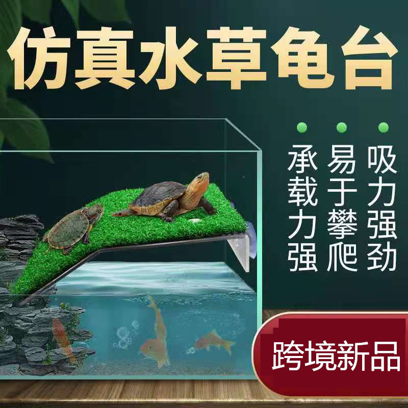 Transfronteriza nueva mesa de secado de tortugas mesa de secado de espalda tanque de peces escalera paso plataforma de descanso tortuga lechón mesa de secado de alto nivel de agua