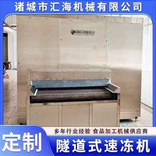 肉串丸子单冻机 全自动肉块肉丁速冻隧道 隧道式速冻机生产厂家