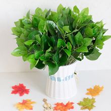 7���f�������  �Gɫ����ֲ�����f������滨�ٻ�