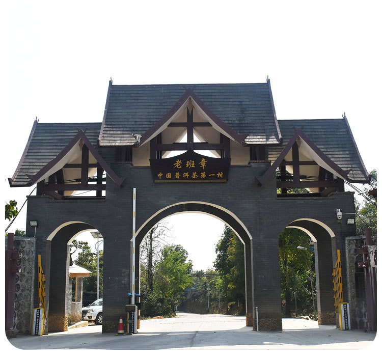 老班章_03.jpg