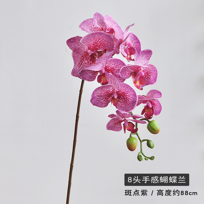 8 보라색 머리 발견