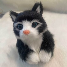 ���ƌ���ģ��ë�q����������؈��ż����[���Ҿ��b�Ʒ�YƷ