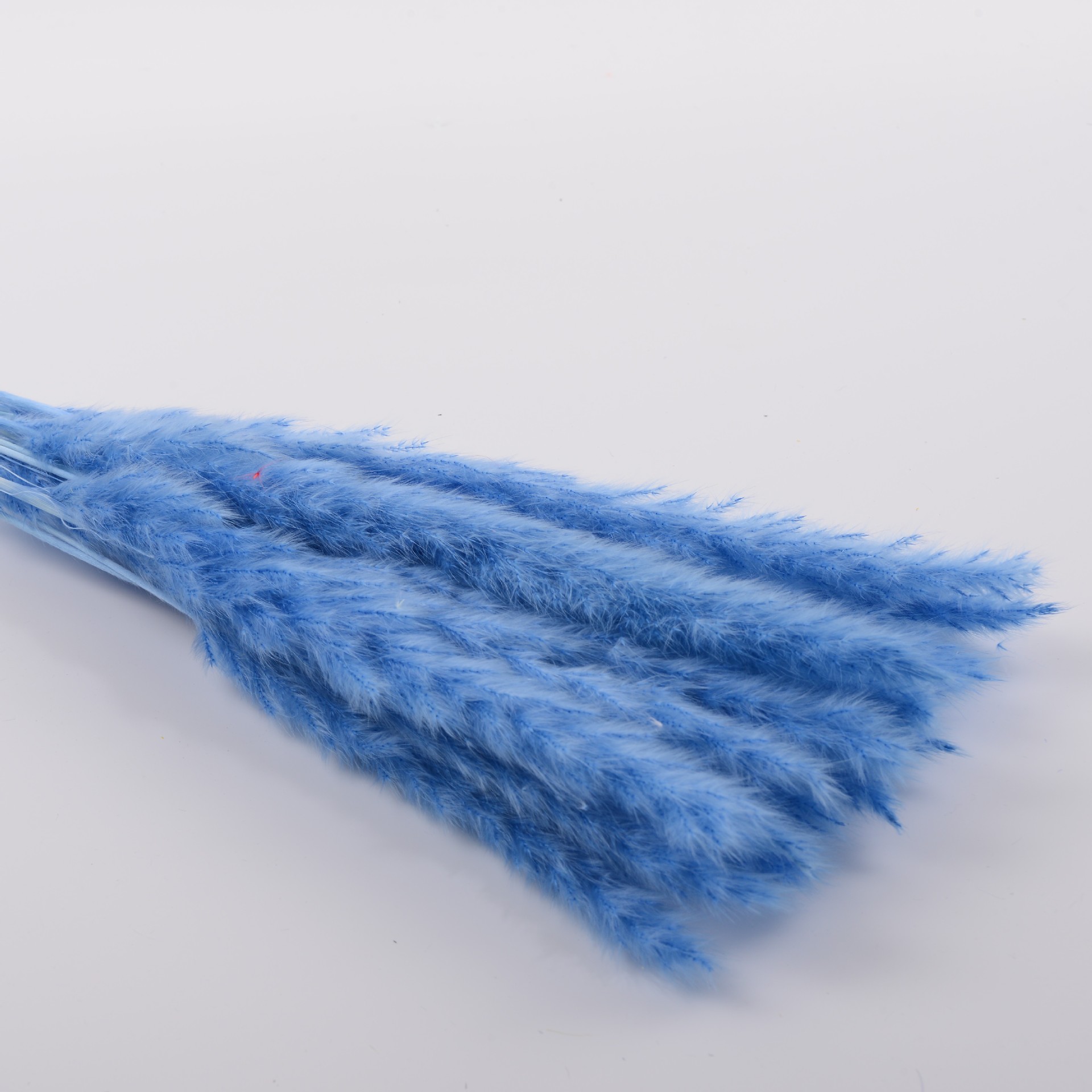 로얄블루 15개입