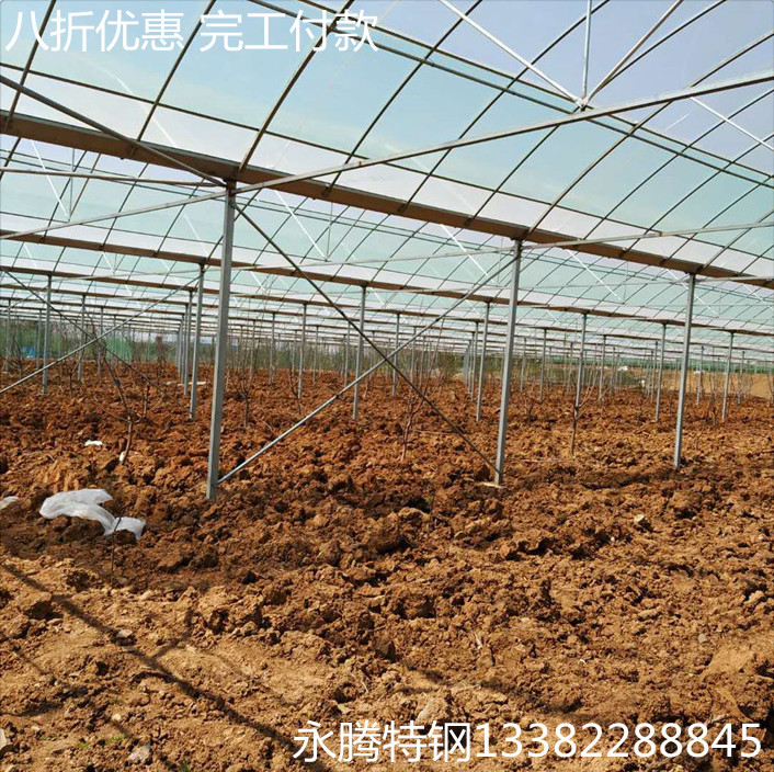 葡萄避雨棚 简易连栋大棚骨架 曲靖厂家批发瓜果简易蔬菜大棚搭建