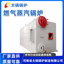 大型卧式工业燃油燃气蒸汽锅炉燃油蒸汽机天燃气蒸汽发生器可定制