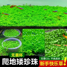 �o�������ذ�����ˮ��ſ�ذ����ǰ�����~���쾰䁲�ƺ�ձ���