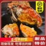即食熟食绳带醉蟹