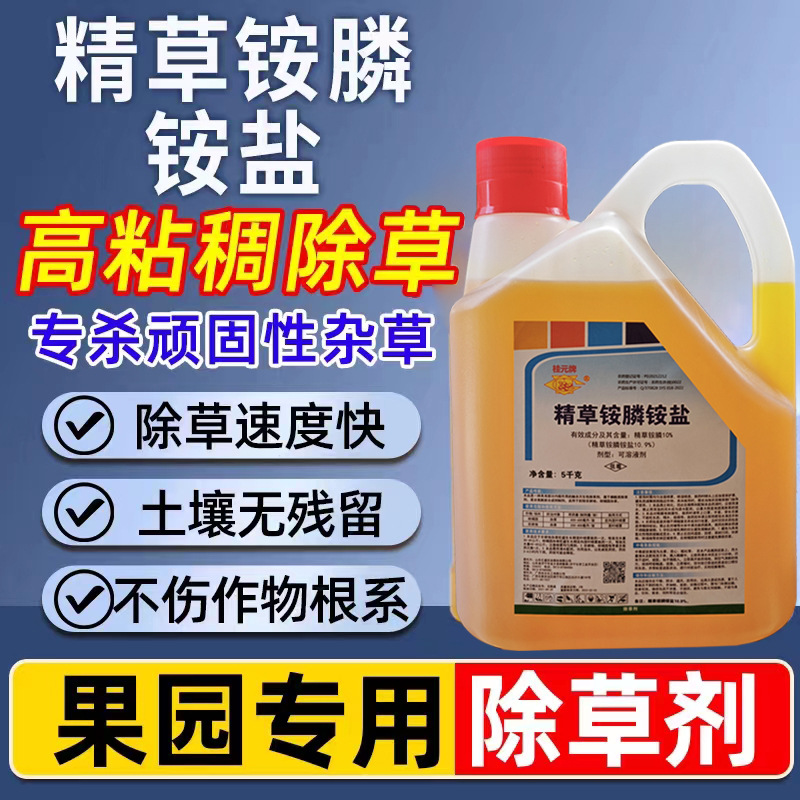 微信图片_20231109143835