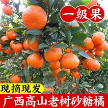 ����5��V��ɳ�ǽ����rɰ���ٱ�Ƥ����С����