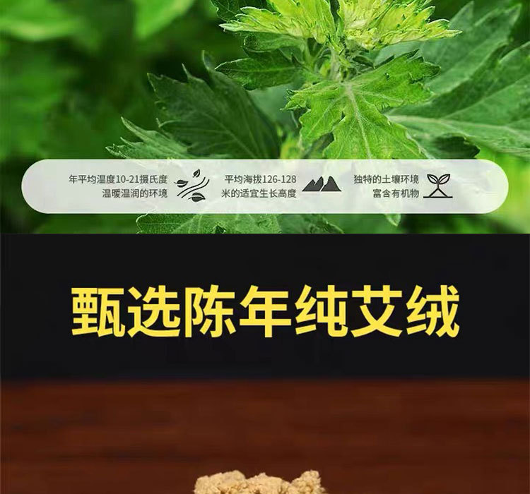 Thick Moxa Rolls 2.5cm Nanyang Mugwort Cone for Moxibustion 24 Pieces overview