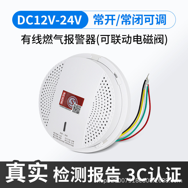天井ガス警報器有線ガス漏れ検出器12V天然ガス警報器SG-2008卸売り|undefined