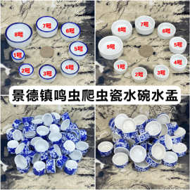 蟋蟀水盆瓷水碗蓝边蛐蛐油葫芦瓷水盂鸣虫用品蝈蝈黑虫盒爬虫水