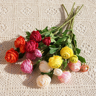 ���滨�ɏ¶ɏ ��֦3�^�Ӹ�С¶ɏ���滨�ٻ��Ҿӻ�c�zӰ�b�